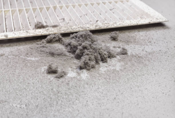 Best Ventilation Cleaning Services  in Kearney, MO