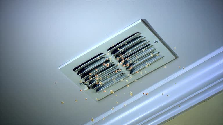 Best Affordable Duct Cleaning Services  in Kearney, MO
