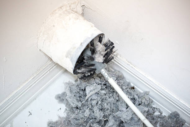 Best Dryer Vent Cleaning Services  in Kearney, MO